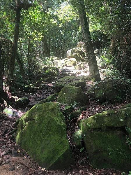 [登山-親民路線] 大崎棟古道 2023森游竹縣 尋寶任務
