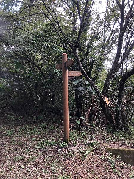 [登山-親民路線] 大崎棟古道 2023森游竹縣 尋寶任務