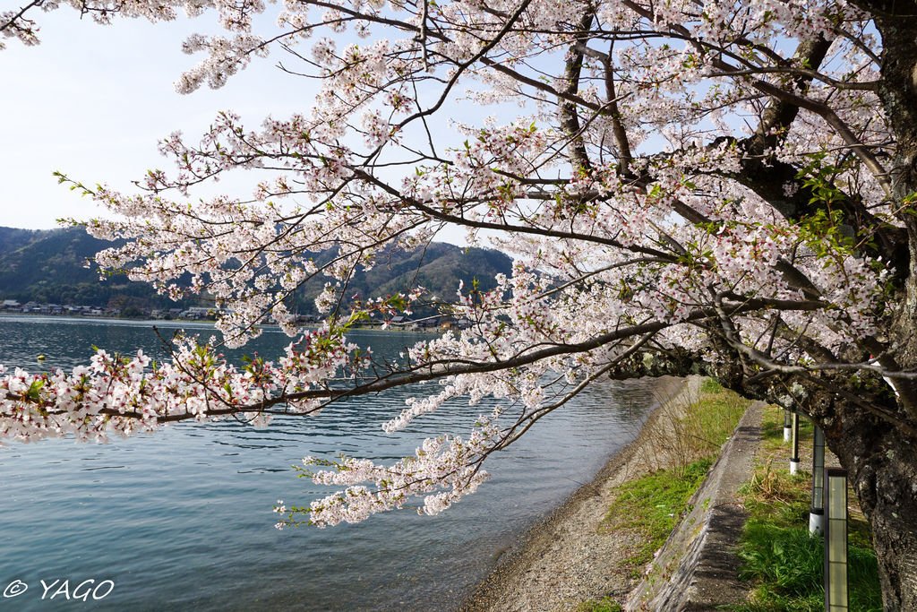 滋賀 (199 - 1096).jpg