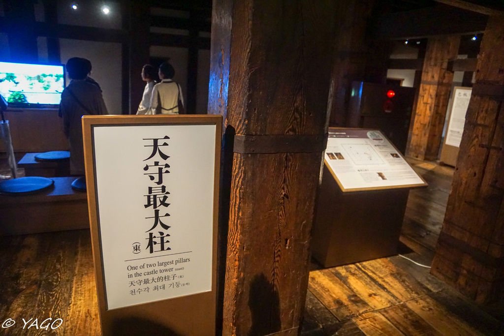 島根 (86 - 281).jpg