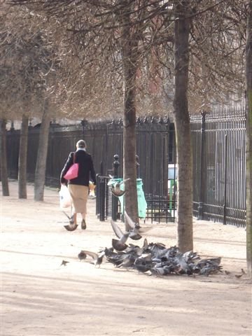 佛斯居廣場Place des Vosges.jpg