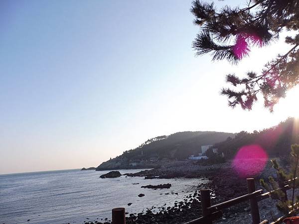 P1080559.JPG