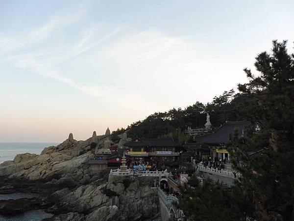 P1080638.JPG