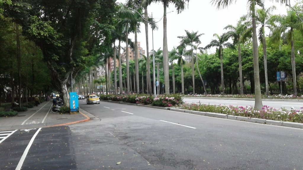 20190326_090618.jpg - 2019衝假