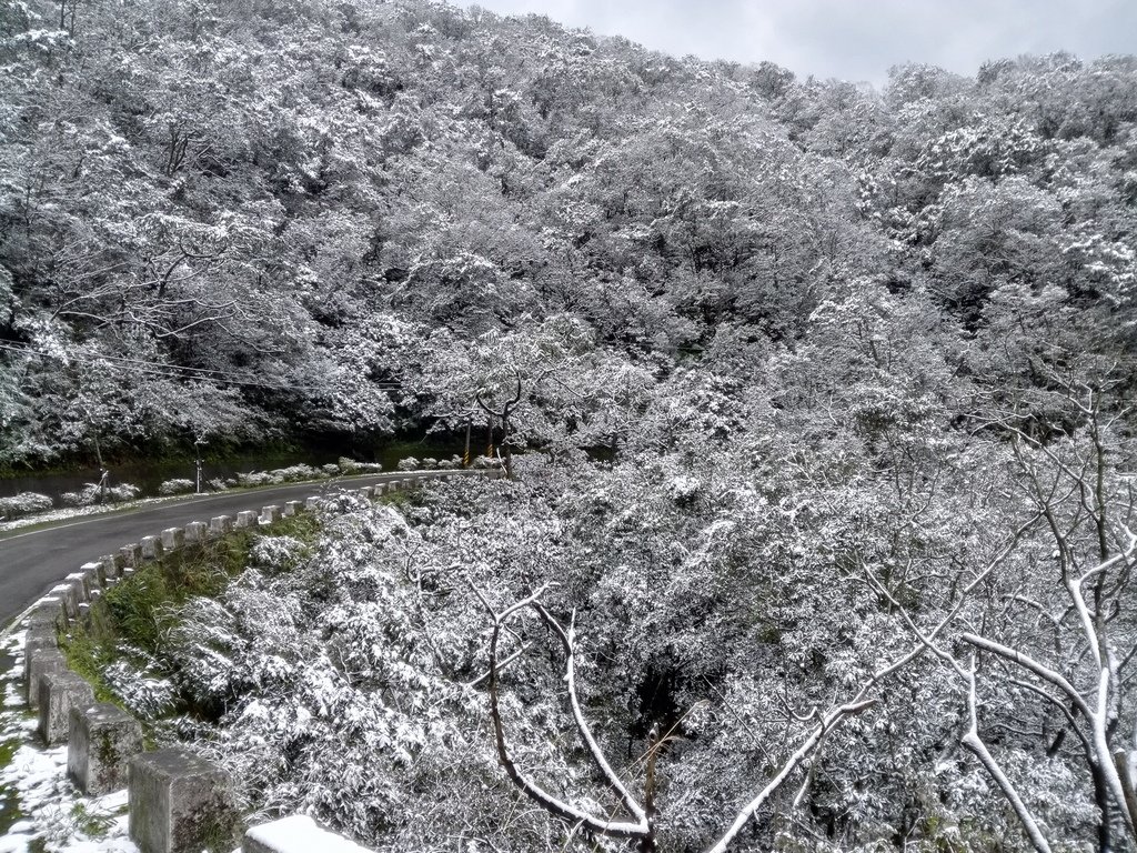 IMG_20160124_162020.jpg - 奇蹟!台北下雪了!!