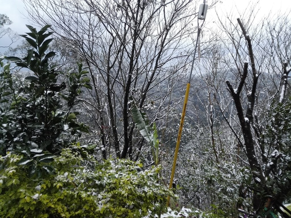 IMG_20160124_160955.jpg - 奇蹟!台北下雪了!!