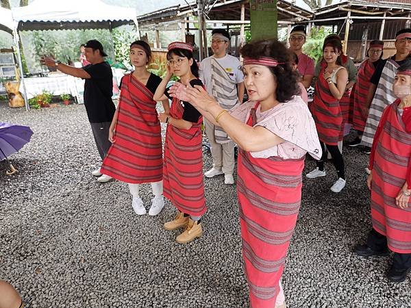 2024 OUTING 宜蘭 採茶活動 水豚君 草泥馬首遇 