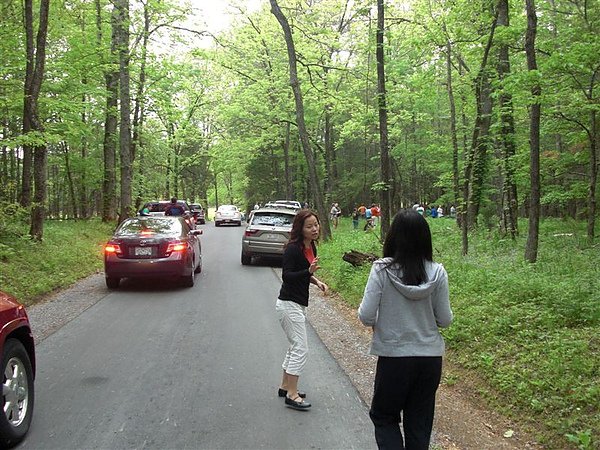 06-04.JPG
