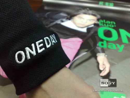 blog_20090306以後演唱會必帶的手腕_上身.jpg