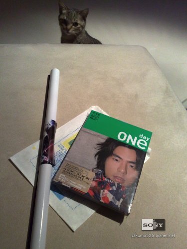 blog_20090306好奇的毛毛當然來湊熱鬧.jpg