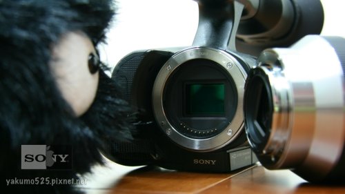 Blog_NEX-VG10_alex.018.jpg