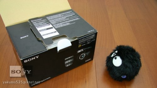 Blog_NEX-VG10_alex.003.jpg