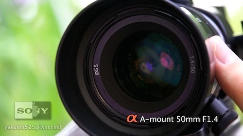 Blog_NEX-VG10_d-Flower-04.jpg