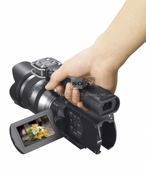 Blog_Hand2_NEX-VG10_lg.jpg