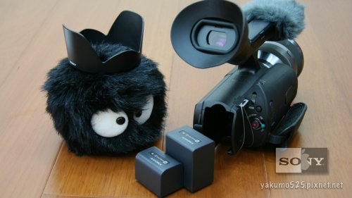 Blog_NEX-VG10_alex.013.jpg