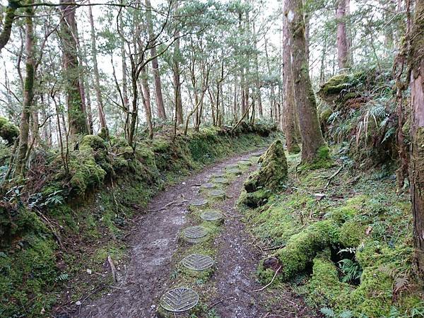 太平山 (82).JPG