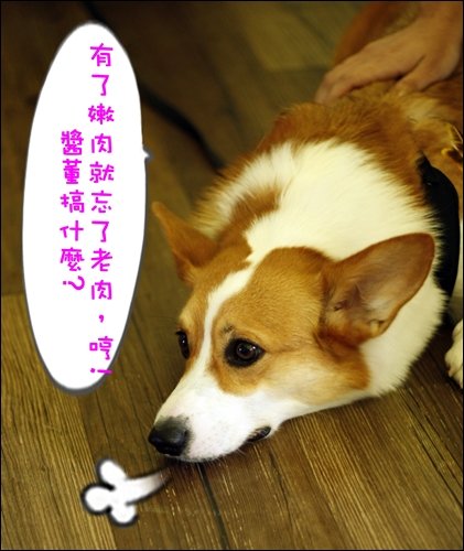 _MG_6249.JPG