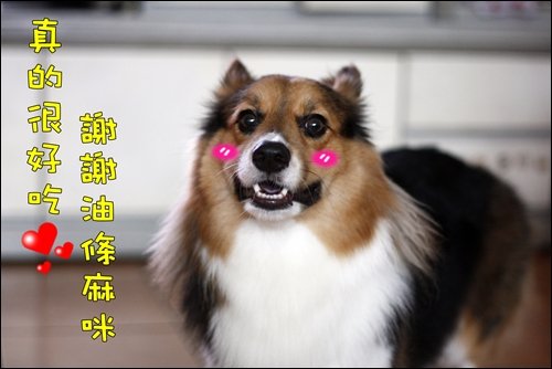 _MG_7981.JPG