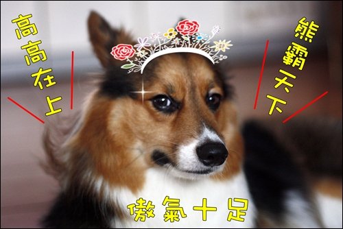 _MG_7988.JPG
