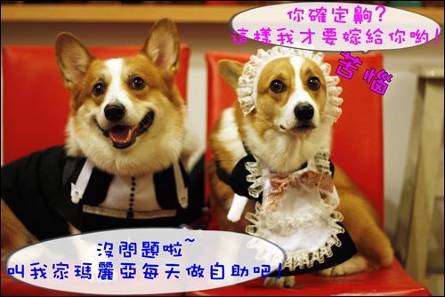 _MG_9721.JPG