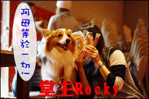 _MG_2742.JPG