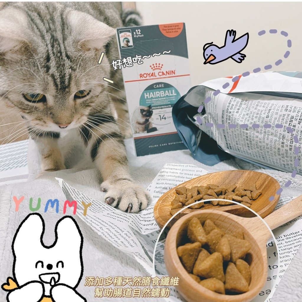 產品分享｜法國皇家ROYAL CANIN ．IH34有效化毛