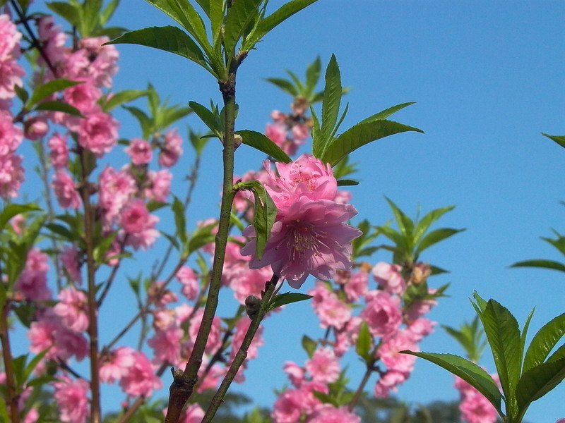 L1050076.jpg