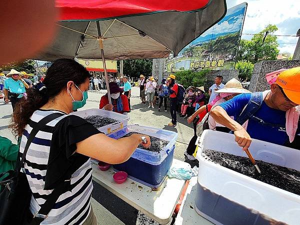 白沙屯媽祖遶境體驗2020年 --- 之二