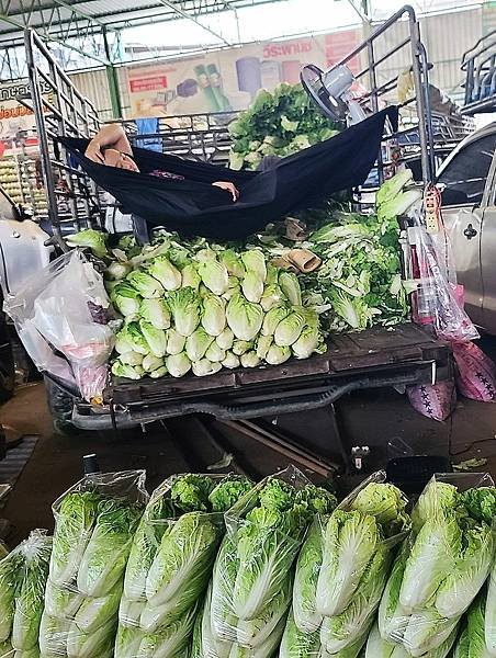 清邁,遇見菜市場堆積如山的青菜 ~~ 上篇