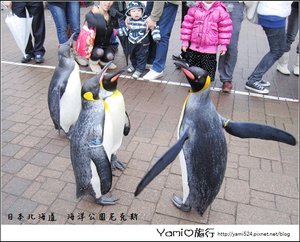 海洋公園尼克斯