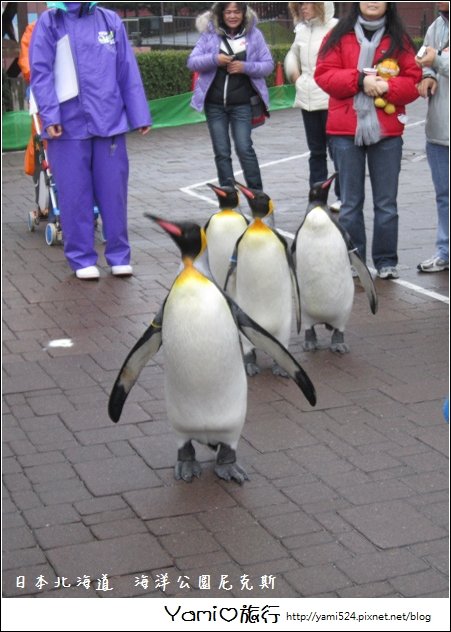 海洋公園尼克斯