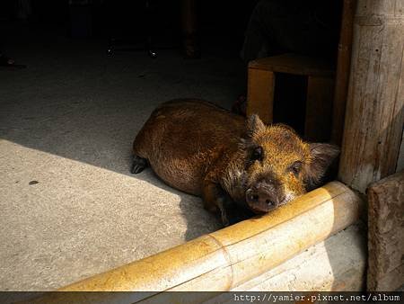 DSCN0216.JPG