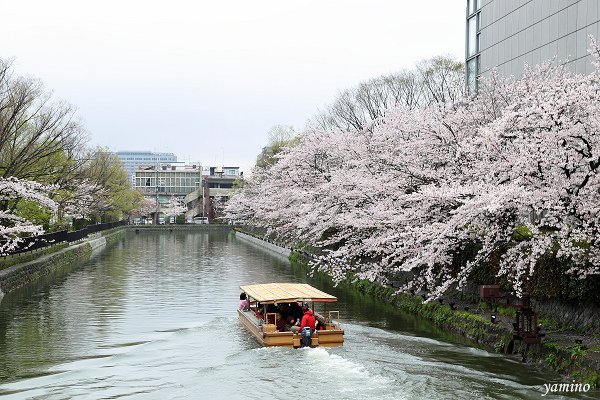 岡崎疏水