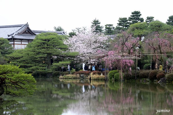 平安神宮