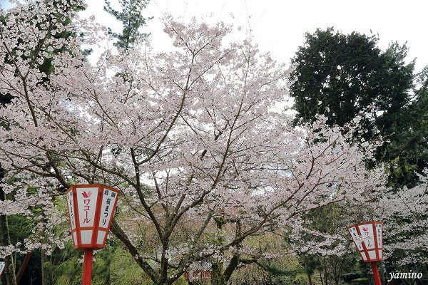 醍醐寺