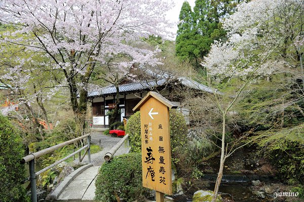 醍醐寺