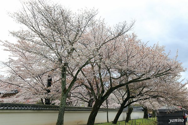 醍醐寺