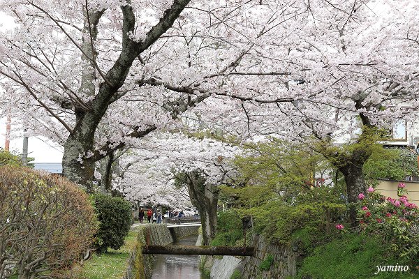 I哲學之道