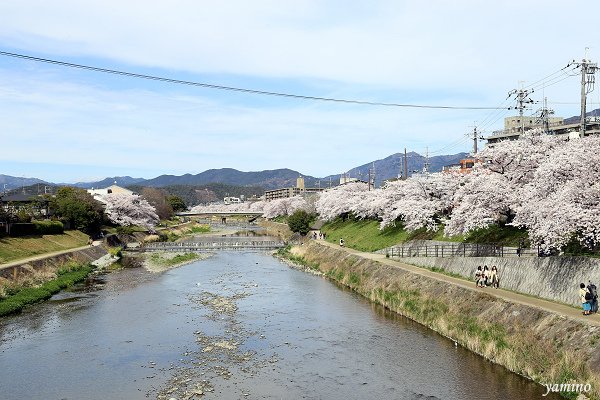 鴨川