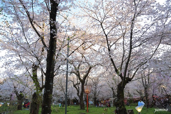 平野神社