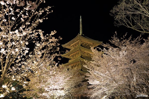 東寺