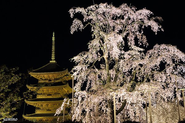 東寺