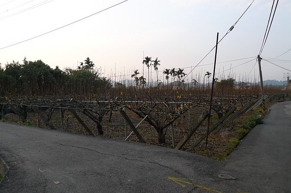 P1110143.JPG