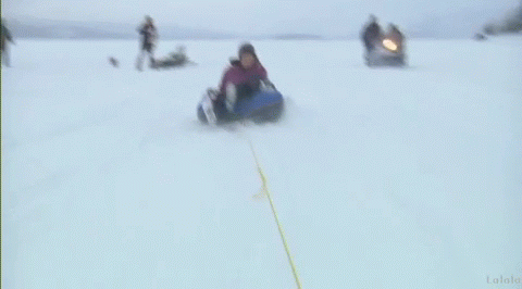 54631350201223.gif