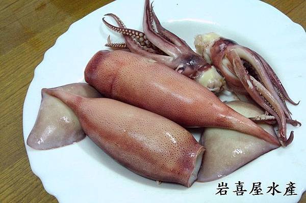 阿根廷魷魚1
