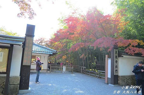 照片 215-嵐山 天龍寺.jpg