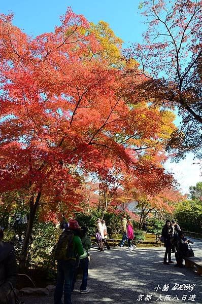 照片 229.jpg