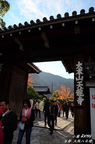 照片 281.jpg