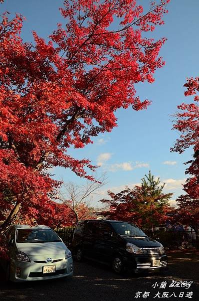 照片 295.jpg