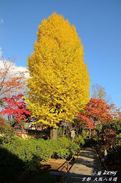 照片 308.jpg